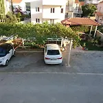 Viola