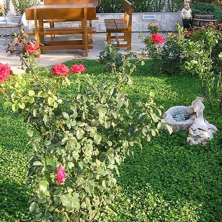 Viola Πανσιόν