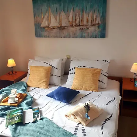 Viola Guest house *