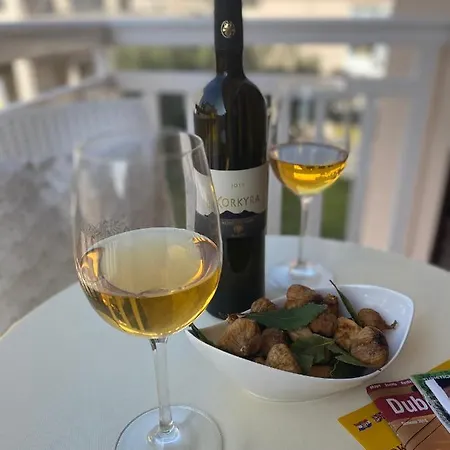Viola Gostinjska kuća *
