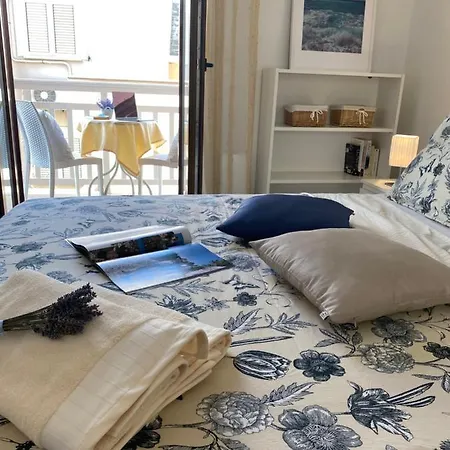 게스트하우스 Viola 챠브타트