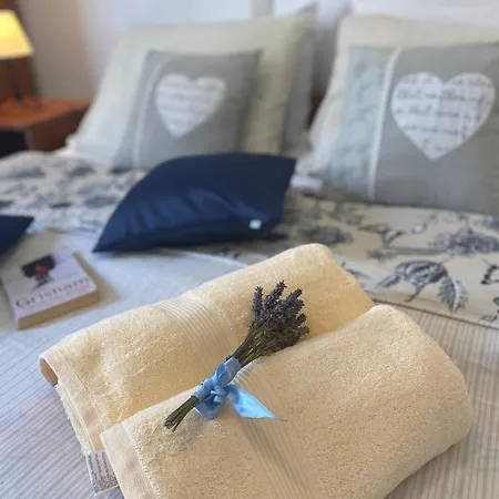 Viola 게스트하우스 3*