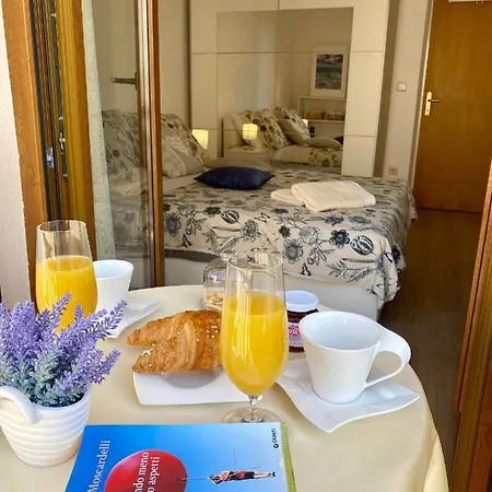 Viola 게스트하우스 3*