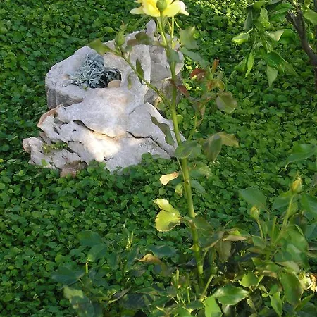 Gostinjska kuća Viola *