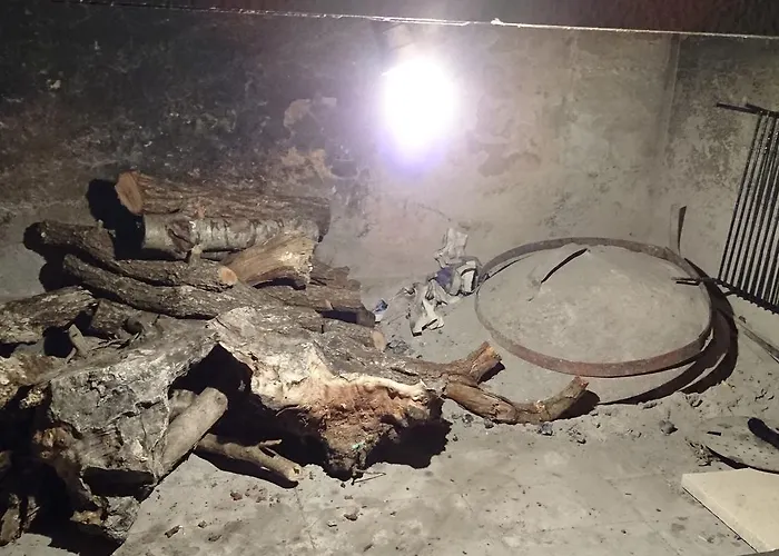 Viola Guest house 3*